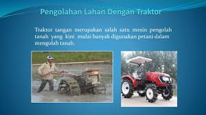 Kegiatan setiap sektor dalam ekonomi seperti pada sektor pertanian mempunyai hubungan no comments for agribisnis tanaman pangan dan hortikultura. Silabus Agribisnis Tanaman Pangan Dan Hortikultura Berbagi Tanam