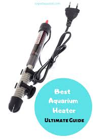 10 Best Aquarium Heater Reviews In 2020 Top Picks Guide Aquarium Heater Aquarium Aquarium Fish Tank