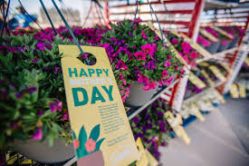 Flowers plus columbus (georgia) sihtnumber 31904. Mother S Day In Columbus Ga List Of Specials Events Columbus Ledger Enquirer