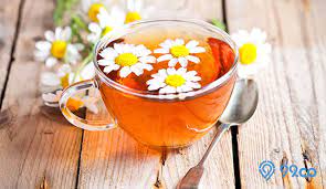 Memiliki kandungan flavonoid menjadikan chamomile sebagai herbal yang mempunyai segudang manfaat luar biasa. 12 Rekomendasi Teh Chamomile Terbaik Tahun 2020