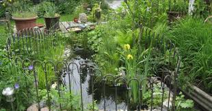 Mit Dem Teichzaun Light Verhindern Sie Dass Ein Kind In Ihren Gartenteich Fallt Der Teichzaun Light Besteht Aus Einzelnen Staben Pflanzen Teich Bepflanzung