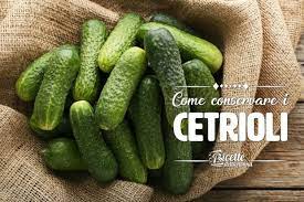 We did not find results for: Come Conservare I Cetrioli Ricette Della Nonna