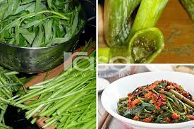 Jarak antar alur 10 cm. Sayur Memang Sedap Dimakan Tetapi Pastikan Dicuci Bersih Kalau Boleh Siat Dulu