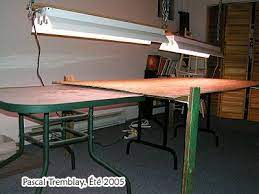 Build A Seedlings Table With Plant Grow Lights Grow Lights For Plants Growing Indoors Grow Lights
