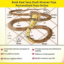 Kaal Sarp Dosh Puja In Ujjain - What Is Kaal Sarp Dosh And What Are Its  Effects And What Are The Right Remedies | Wander