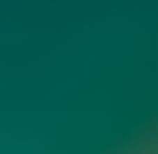 Image result for Roeperocharis wentzeliana