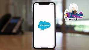 The salesforce mobile app now includes all your favorite lightning apps. Salesforce Mobile App Demo Youtube