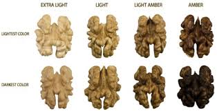 colour and in vitro quality attributes of walnuts from