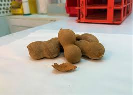 See more ideas about indian snack recipes, cooking recipes desserts, diy food recipes. Ntu Singapore Converts Tamarind Shells Into An Energy Source For Vehicles Eurekalert Science News