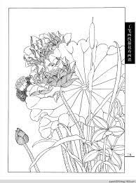 http syqx0325 blog 163 com blog static 2195820392014102084610676 lotus flower painting lotus drawing bird artwork