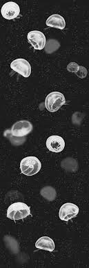 Jellyfish Black Wallpaper By Paper Moon Jellyfish Diy Jellyfish Aesthetic Jellyfish Tank Jel In 2020 Dark Phone Wallpapers Black Aesthetic Wallpaper Black Wallpaper