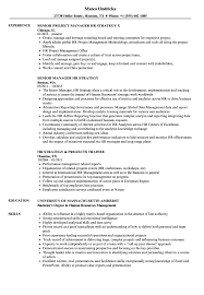 hr strategy resume samples velvet jobs