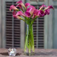 Send The Calla Lilies Bouquet Of Flowers From Blue Water Flowers In New York Ny Local Fresh Flower Delivery Di Calla Lily Fresh Flower Delivery Water Flowers