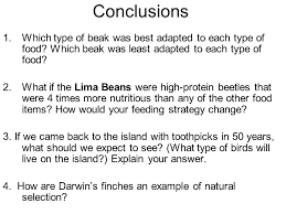 Maybe you would like to learn more about one of these? Bird Beaks Lab Who Will Survive Lt I Can Construct An Explanation Based On Evidence That Describes How Beak Shape Trait Ppt Video Online Download
