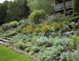 Lush Garden Distant View Landscape Authority Hillside Landscaping Sloped Garden Landscaping A Slope
