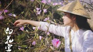 appreciate white flowers in colorful march and cook a table of white flower banquet 澜沧三月赏白花 做了一桌 白花宴 滇西小哥 youtube food dishes white flowers chinese food