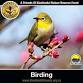 Birding at Kloofendal event in Roodepoort