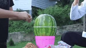 Two english gents who call themselves the slow mo guys ( h/t daily mail. Best Watermelon Gifs Primo Gif Latest Animated Gifs