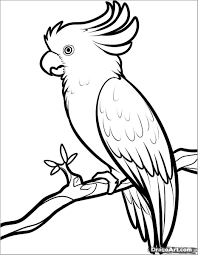 These alphabet coloring sheets will help little ones identify uppercase and lowercase versions of each letter. Cockatoo Coloring Pages Coloring Home