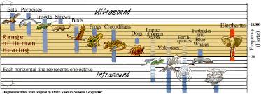 Sound Frequency Detection Ingridscience Ca