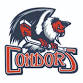 Bakersfield Condors vs Colorado Eagles event image