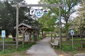 Explore the Scenery at Armand Bayou Nature Center - Monument Chevrolet Blog
