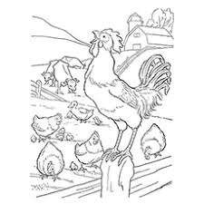 Chicken coloring pages cartoon chicken coloring pages chicken. Top 10 Free Printable Rooster Coloring Pages Online