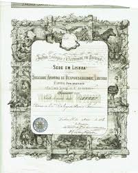 Quatro vieram de frança e passam agora a viver no zoo de lisboa, que já acolhe cerca de 2000 animais. Jardim Zoologico De Lisboa Wikiwand