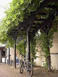 Grape Vine On Pergola Idea For My Grape Vines Laubengang Pergola Uberdachung Diy Hinterhof