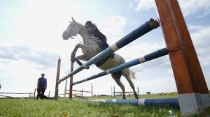 Pour se convaincre de l'importance de la réception, il suffit de voir le nombre de fautes commises sur le dernier obstacle d'un passer la ligne d'arrivée avant même. Horse Jump Over Obstacle In Video De Stock 100 Libre De Droit 31953907 Shutterstock