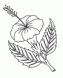Keep your kids busy doing something fun and creative by printing out free coloring pages. Printable Coloring Pages Of Hawaiian Flowers Coloring Home