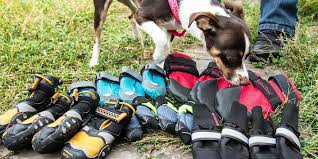 Simpawtico carries a variety of healthy foods and treats along with toys, supplements, beds and many other pet supplies necessary to keeping your dog or cat happy and fit. The Best Dog Boots Reviews By Wirecutter