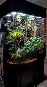 Pin By Andrew Nemo On Palyudarium Vivarium Terrarium Aquascape Aquarium Beautiful Terrariums Water Terrarium