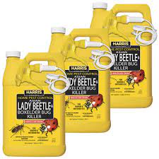 Asian Longhorned Beetles Insect Control Pest Control The Home Depot