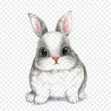 Pada artikel ini saya ingin mengulas hewan peliharaan kelinci karena menurut saya kelinci merupakan hewan kelinci sangat lucu kali ini saya akan membagikan beberapa gambar. Kelinci Gambar Kelinci Eropa Gambar Png