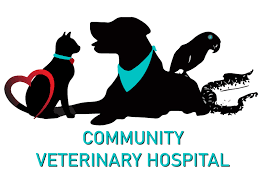Camino pet hospital, irvine, ca. Community Veterinary Hospital Veterinarian Serving Largo Clearwater And St Petersburg Florida Home