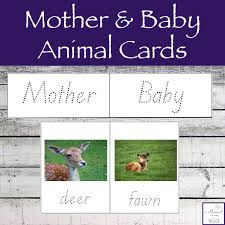 Jul 24, 2010 · mother and baby zoo animals, by caroline arnold in this story, author caroline arnold describes how zoo animals feed and care for their young. Mother And Baby Animal Cards Simple Living Creative Learning