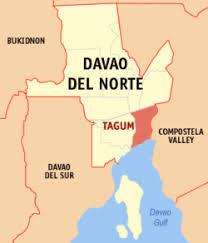 Davao Doctors College Revolvy