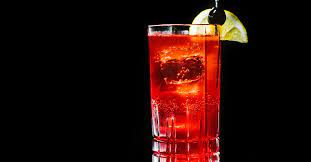Sloe Gin Fizz Cocktail Recipe