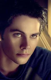 Peterxharley Stories