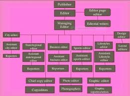 structure functions of various department of newspaper