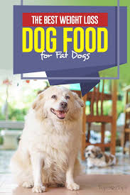 Pin On Best Dog Food For
