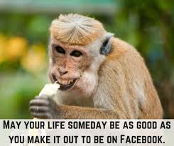 100 funny tuesday memes, pictures & images for motivation by lily saint j. Funny Clever And Cute Status Updates For Facebook And Twitter Turbofuture