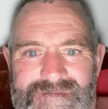 Hi everyone, I have these spare and was wondering if i could repurpose as  roosting bars or are they not wide enough? Cheers!