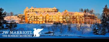 Snowmobile Rentals And Ski Doo Rentals In Muskoka Ontario Back Country Tours Will Meet All Your Snowmobiling Needs From Our Snowmobile Guided Tours To Our Best Rate Snowmobile Rentals Snowmobile Sled Skidoo