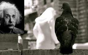 Asta ar putea fi o coincidență, dar. Albert Einstein Coincidenta Este Felul Lui Dumnezeu De A Ramane Anonim Un Articol Genial Despre Strania Si Inexplicabila Lume A Coincidentelor Buna Ziua Iasi Bzi Ro