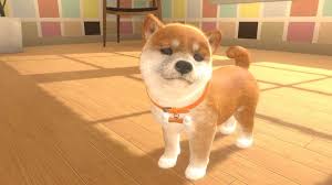 On de herederos en el: Switch Is Getting A Nintendogs Cats Spiritual Successor Eurogamer Net