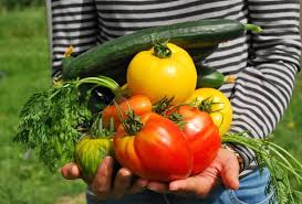 Lettuce, arugula, kale, even mint, oregano, and chives will do well on 3 or 4 hours of sun. Sunlight Requirements Vegetables Require Infographic The Whoot