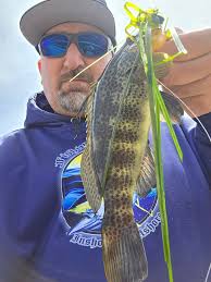 Oriental supermarket fish prices