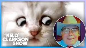 A texas judge issued an important zoom tip after a lawyer used a cat filter during a virtual hearing. Texas Lawyer Explains Viral Cat Face Filter Zoom Mishap Youtube
